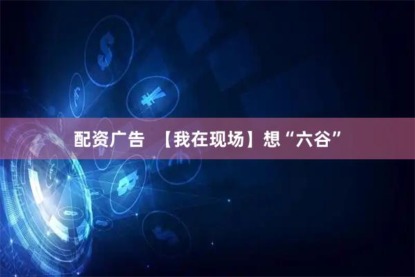 配资广告  【我在现场】想“六谷”