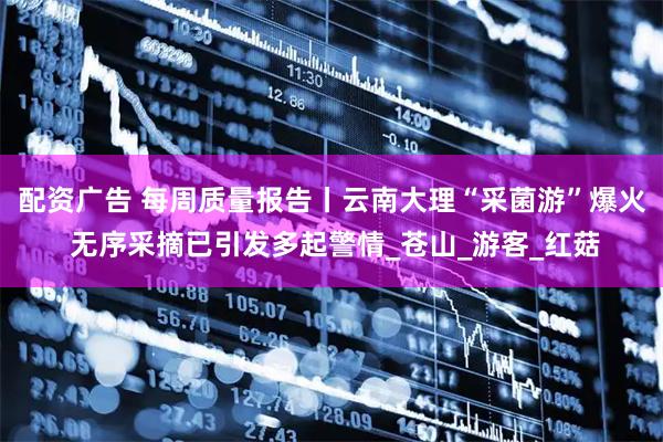 配资广告 每周质量报告丨云南大理“采菌游”爆火 无序采摘已引发多起警情_苍山_游客_红菇