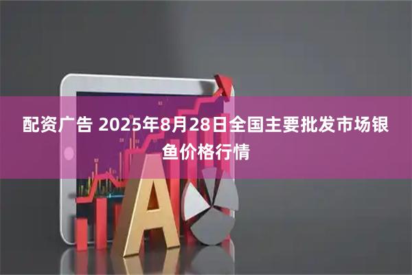 配资广告 2025年8月28日全国主要批发市场银鱼价格行情